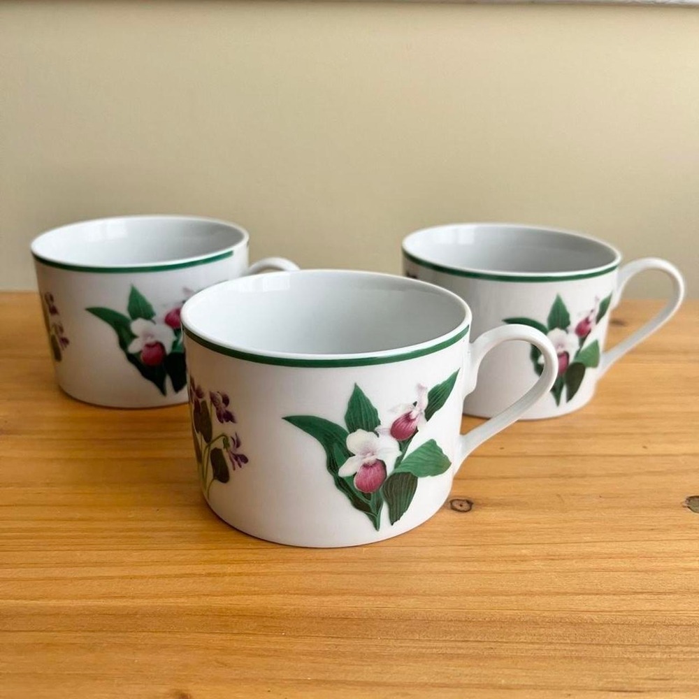 National Wildlife Federation Flat Cup Set 3 Mugs American Wildflowers Cottage